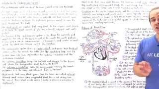 Introduction to Cardiovascular System [upl. by Ttiwed]