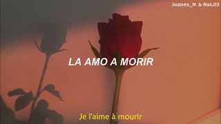 Francis Cabrel  Je laime à mourir  Letra Español  Paroles [upl. by Fevre]