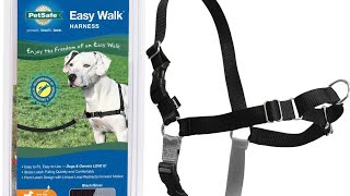 HOW TO FIT THE EASY WALK HARNESS easywalkharness dogharness dog dogtrainingtips [upl. by Icart]