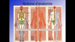 Anatomie et Physiologie de lappareil locomoteur [upl. by Amre]