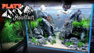 Aquascape Tutorial PLATY FISH Mountain Aquarium How To Step by Step Planted Tank Guide [upl. by Gennaro]