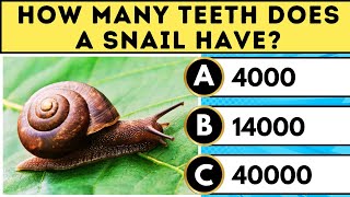 Can You Guess 30 Most Interesting Animal Facts Animal Quiz Trivia [upl. by Attena]