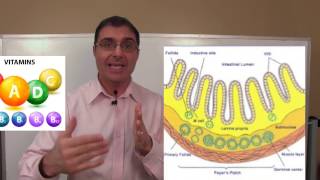 How to Test for Leaky Gut with Dr Rob [upl. by Temple]