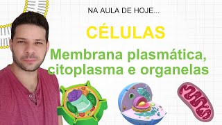 Células  Membrana plasmática  citoplasma e Organelas  Aula 03 [upl. by Connors]