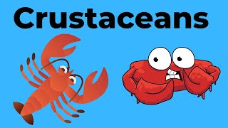 Characteristics of Crustaceans [upl. by Jit]