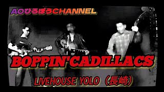 【ロカビリー】BOPPIN’CADILLACS LIVE（長崎） [upl. by Aikkin]