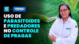 INOVAÇÕES CURIOSIDADES E EFICIÊNCIA NO USO DE PARASITOIDES E PREDADORES NO CONTROLE DE PRAGAS [upl. by Marcelline]