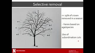 2 Pruning standards and best management practices [upl. by Quick]