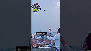 Kite flyingbig kite flyingkite shopping6tawa kites flying kites15August kite flying kite lover [upl. by Imas]