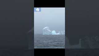 Exploring the Frozen Continent Antarctic Icebergs  Yatri doctor shorts travel [upl. by Ttenna]