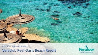 Sharm El Sheikh  Veraclub Reef Oasis Beach Resort [upl. by Avad532]