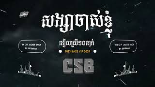 សង្សារចាស់ខ្ញុំ CSB Remix [upl. by Hertzog]