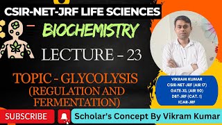 Glycolysis  Regulation and Fermentation  Respiration  Biochemistry [upl. by Slade]