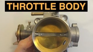 Throttle Body  Explained [upl. by Ela]