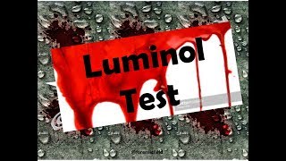 Luminol Test [upl. by Stanley]