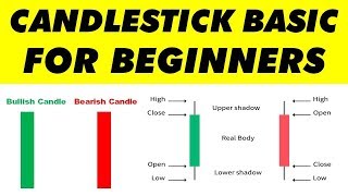 Candlestick Chart for Beginners  Basic Candlesticks Tutorial in Hindi [upl. by Acsisnarf]