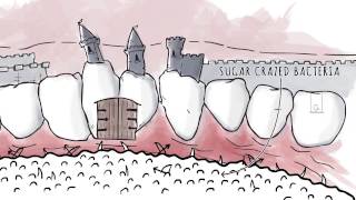 How Xylitol Works  Spry Dental Defense from Xlear [upl. by Einehpets724]