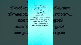 Veyil Chilla Song Lyrics  Zachariahyude Garbinikal  Aneesh Anwer  Jyotsna Radhakrishnan  Lal [upl. by Anirbac]