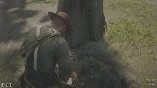 RDR2  BraithwaiteGray Gold Mystery SOLVED [upl. by Rodmann]