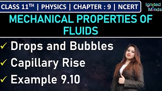 Class 11th Physics  Drops and Bubbles  Capillary Rise  Example 910  Chapter 9  NCERT [upl. by Mast]