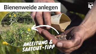 Bienenweide selber anlegen ohne umgraben einfache Anleitung amp Saatgut Tipp [upl. by Marlie]