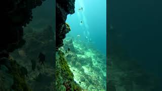 Have you seen an underwater aquarium teamdakay videosbykayeedakay [upl. by Oneida]