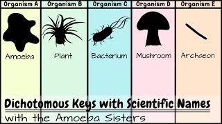 Dichotomous Keys Identification Achievement Unlocked [upl. by Carolynn40]