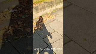 unless my 😊 is knocked real hard 🍉Vlog Uni Day 25 Thu 10 Oct [upl. by Aynotak38]