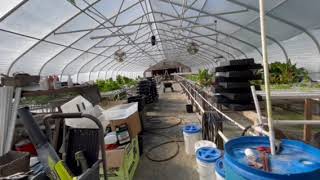 Fenster Farm Hydroponic Greenhouses October 2022 [upl. by Anitnas]