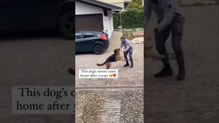 Dog reunited with owner after 3years😍😍 [upl. by Sjoberg133]