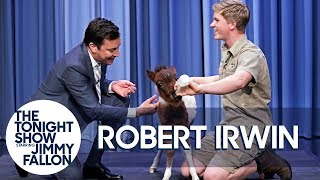 Robert Irwin and Jimmy Bottle Feed a Baby Miniature Horse [upl. by Minny]