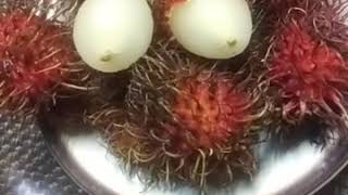 Rambutan or Nephelium Lappaceum [upl. by Zakarias850]