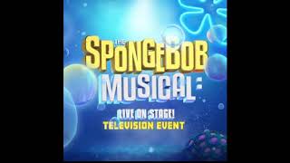 Not a Loser  The Spongebob Musical LIVE on Stage [upl. by Fasto]