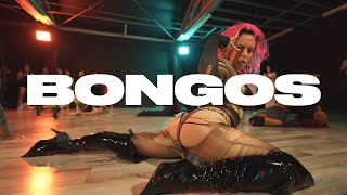 BONGOS  JOJO GOMEZ DANCE CHOREOGRAPHY CARDI B FT MEG THE STALLION [upl. by Milly]