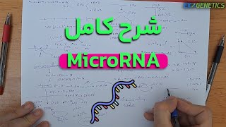 شرح کامل MicroRNA mir یا miRNA در ژنتیک مولکولی [upl. by Landre]