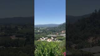 Scenic views of Auberge du soleil youtubeshorts scenicviews nature viral [upl. by Tenneb]