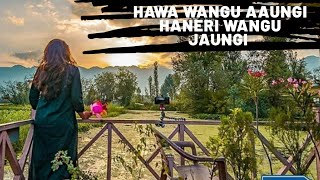 Hawa wangu aaungi Haneri wangu Jaungi  Surjit sandhu Recreated Full video [upl. by Htebazileyram]