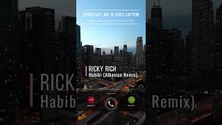 Ricky Rich  Habibi Albanian Remix [upl. by Dawes90]