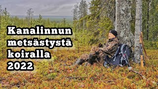 Kanalinnun metsästystä koiran kanssa 2022 [upl. by Cesaro738]