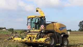 Ensilage de maïs 2013 avec New Holland FR9060 [upl. by Nonna]