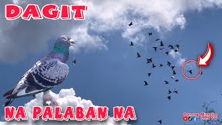 EP478  UNANG LABAN NI DAGIT ABA AKALAIN NYO OLAT [upl. by Enidlarej]