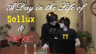 A Day in the Life of SolKat [upl. by Nappie]