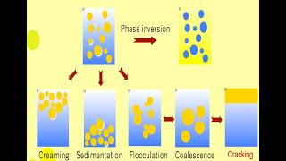 Lec 11 EMULSIONS Physical Stability شرح بالعربي [upl. by Atul362]