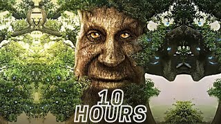 Wise Mystical Tree 10 Hours [upl. by Ashok]