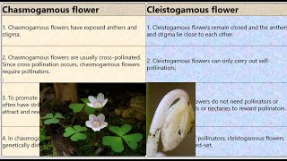 Chasmogamous vs Cleistogamous Flowers [upl. by Ermina]