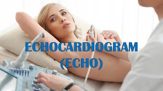 Echocardiogram Echo  Types Indications Patient Preparation Procedure Risks amp Complications [upl. by Ahsekan]