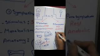 Generalized Vs Localized action of the autonomic nervous system شرح لمادة الفيسيولوجي بالعربي [upl. by Chane]