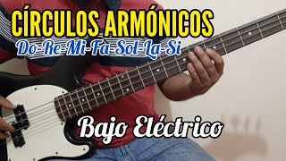 CÍRCULOS Armónicos de Todas Las NOTAS en Bajo Eléctrico [upl. by Edrea]