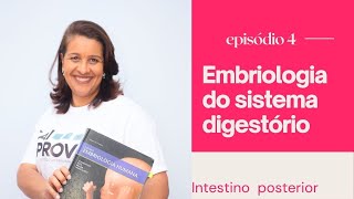 Embriologia do sistema digestório Episódio 04 Intestino Posterior [upl. by Stephania]