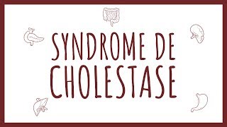 Sémiologie Hépatique  Syndrome de Cholestase [upl. by Allan]